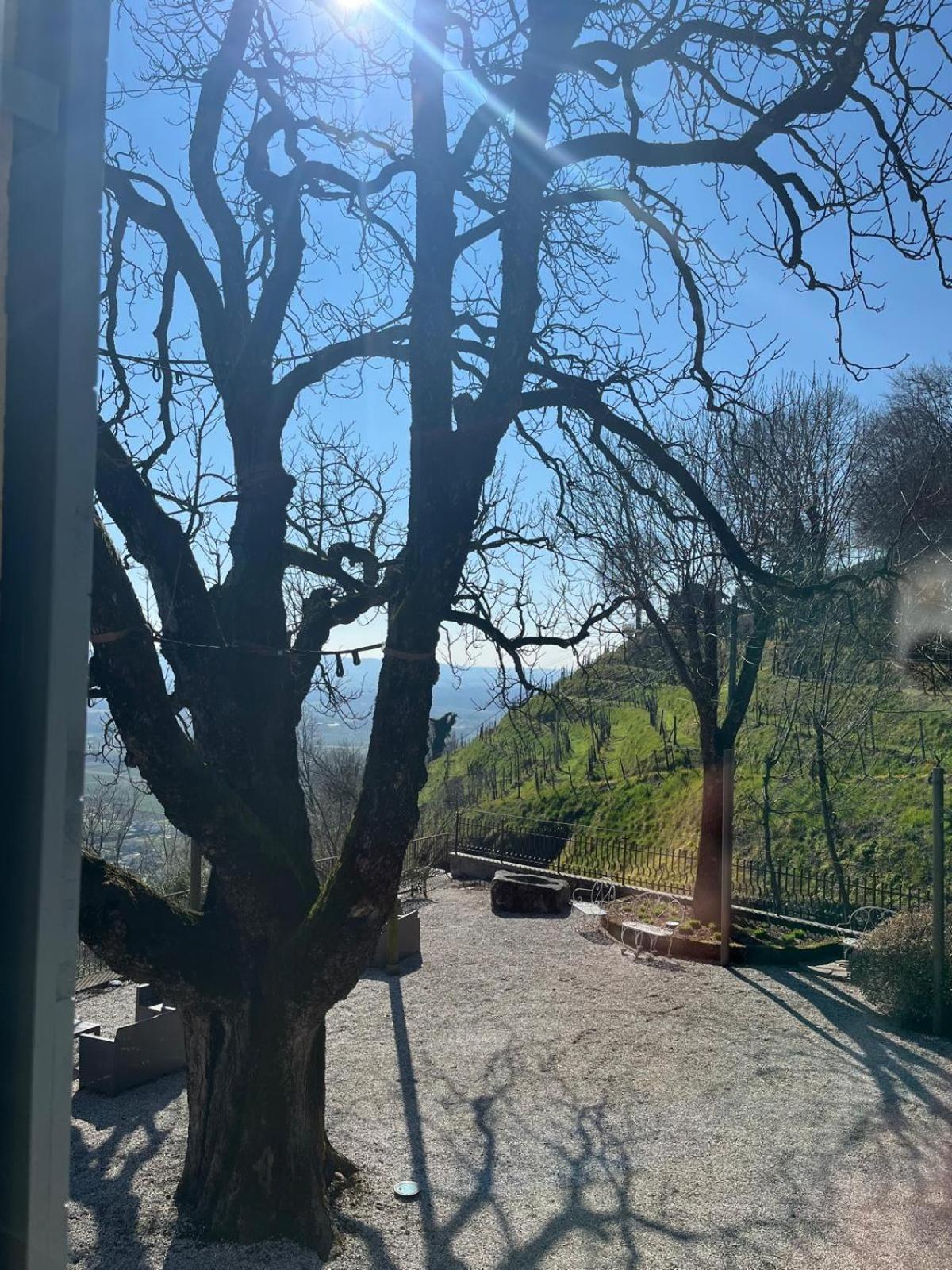 Locanda La Candola Farra di Soligo Εξωτερικό φωτογραφία
